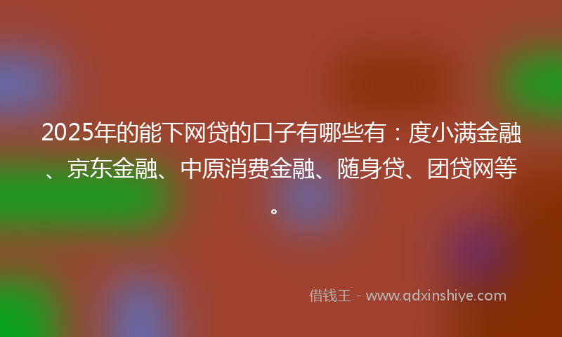 2025年的能下网贷的口子有哪些有：度小满金融、京东金融、中原消费金融、随身贷、团贷网等。
