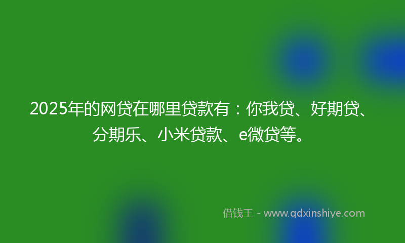 2025年的网贷在哪里贷款有：你我贷、好期贷、分期乐、小米贷款、e微贷等。