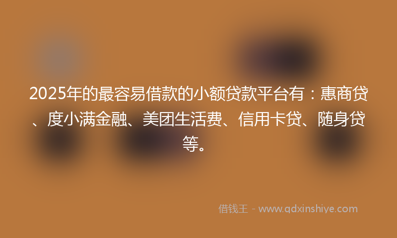 2025年的最容易借款的小额贷款平台有：惠商贷、度小满金融、美团生活费、信用卡贷、随身贷等。
