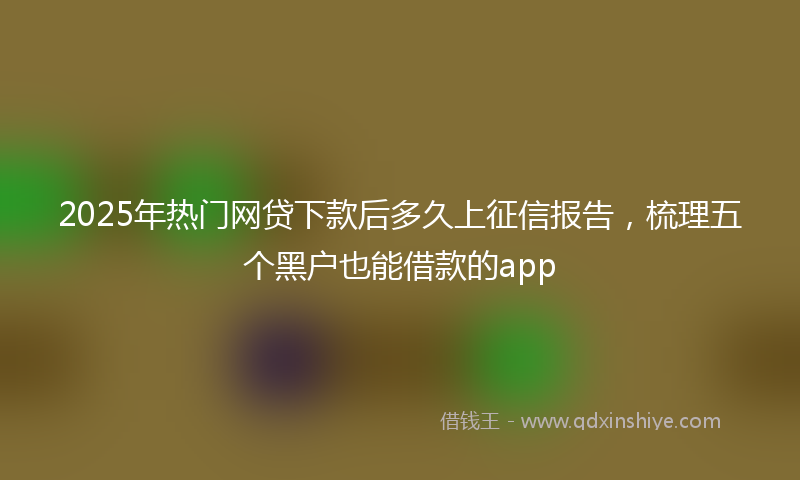 2025年热门网贷下款后多久上征信报告，梳理五个黑户也能借款的app
