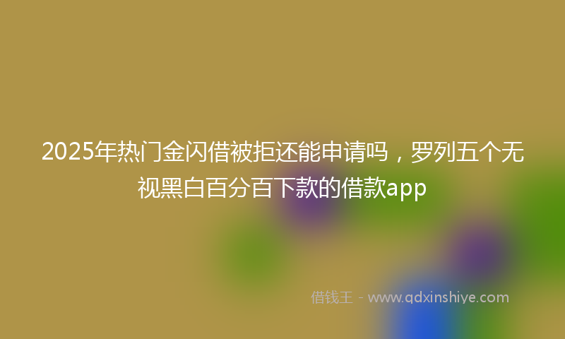 2025年热门金闪借被拒还能申请吗，罗列五个无视黑白百分百下款的借款app