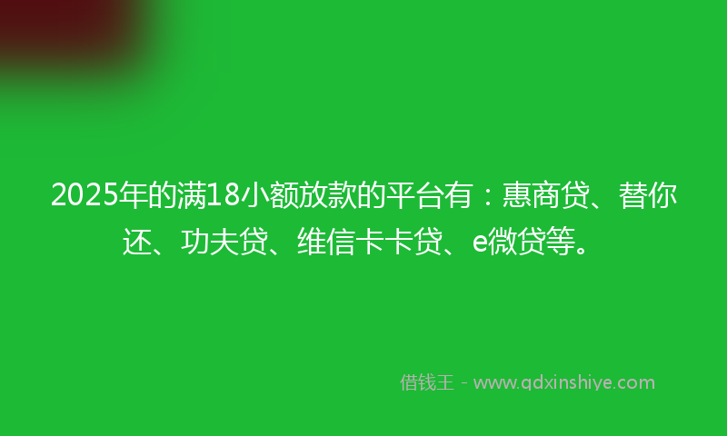 2025年的满18小额放款的平台有：惠商贷、替你还、功夫贷、维信卡卡贷、e微贷等。