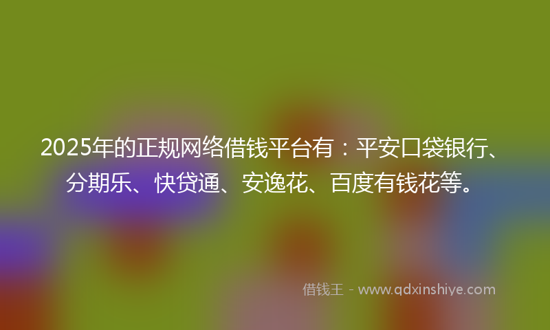 2025年的正规网络借钱平台有：平安口袋银行、分期乐、快贷通、安逸花、百度有钱花等。