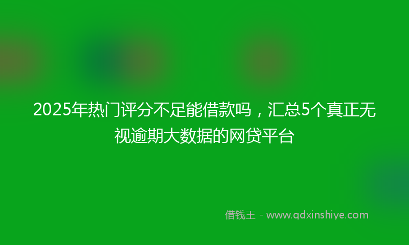 2025年热门评分不足能借款吗，汇总5个真正无视逾期大数据的网贷平台