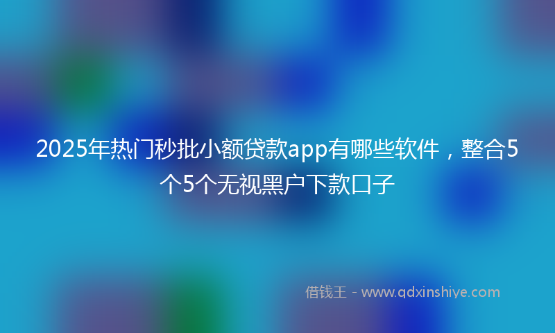 2025年热门秒批小额贷款app有哪些软件，整合5个5个无视黑户下款口子