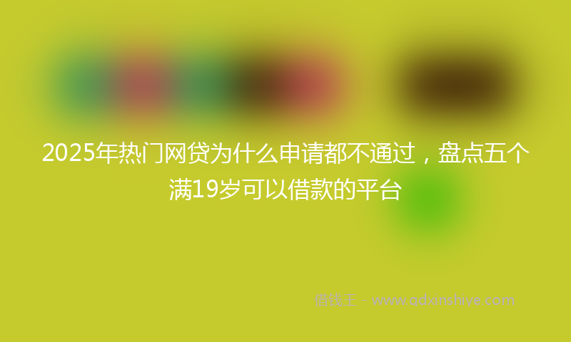 2025年热门网贷为什么申请都不通过，盘点五个满19岁可以借款的平台