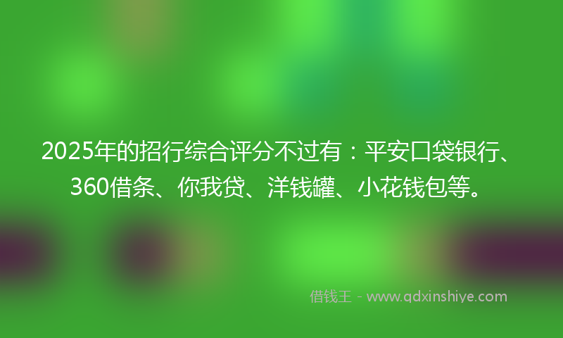 2025年的招行综合评分不过有：平安口袋银行、360借条、你我贷、洋钱罐、小花钱包等。