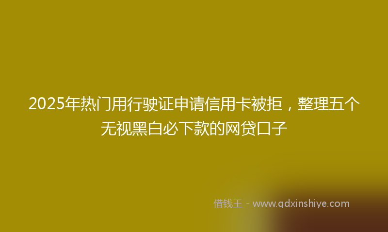 2025年热门用行驶证申请信用卡被拒，整理五个无视黑白必下款的网贷口子