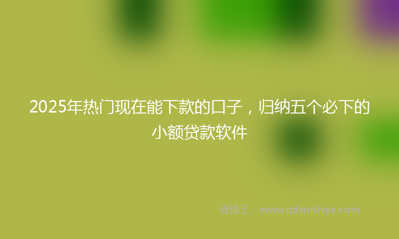2025年热门现在能下款的口子，归纳五个必下的小额贷款软件