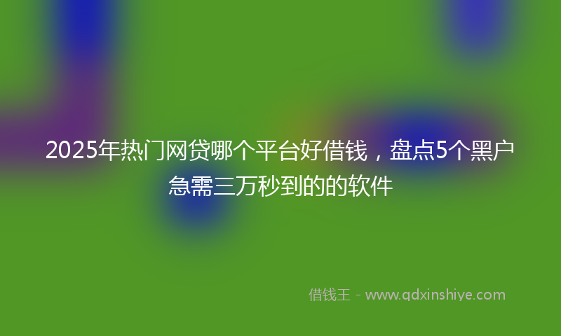 2025年热门网贷哪个平台好借钱，盘点5个黑户急需三万秒到的的软件