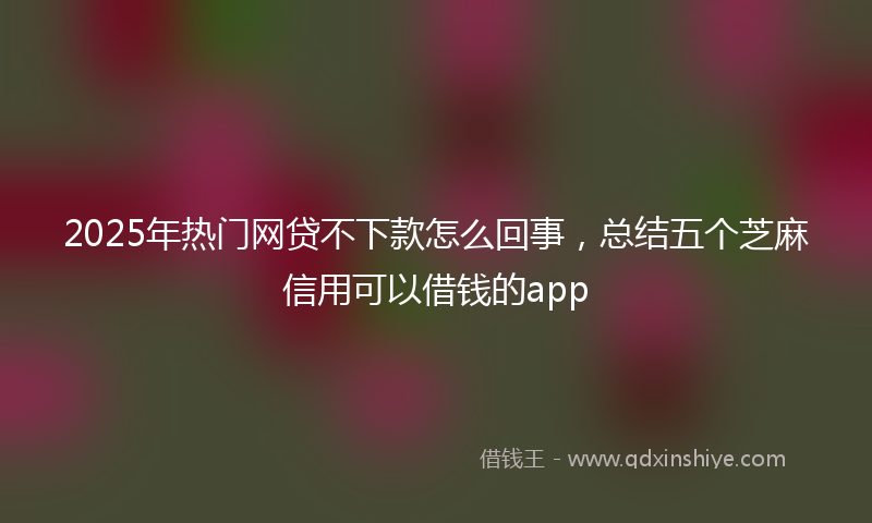 2025年热门网贷不下款怎么回事，总结五个芝麻信用可以借钱的app