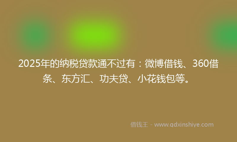 2025年的纳税贷款通不过有：微博借钱、360借条、东方汇、功夫贷、小花钱包等。