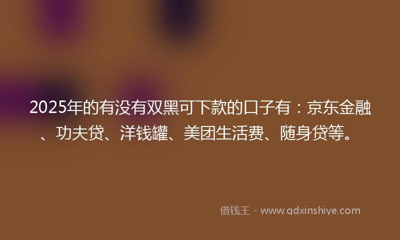 2025年的有没有双黑可下款的口子有：京东金融、功夫贷、洋钱罐、美团生活费、随身贷等。