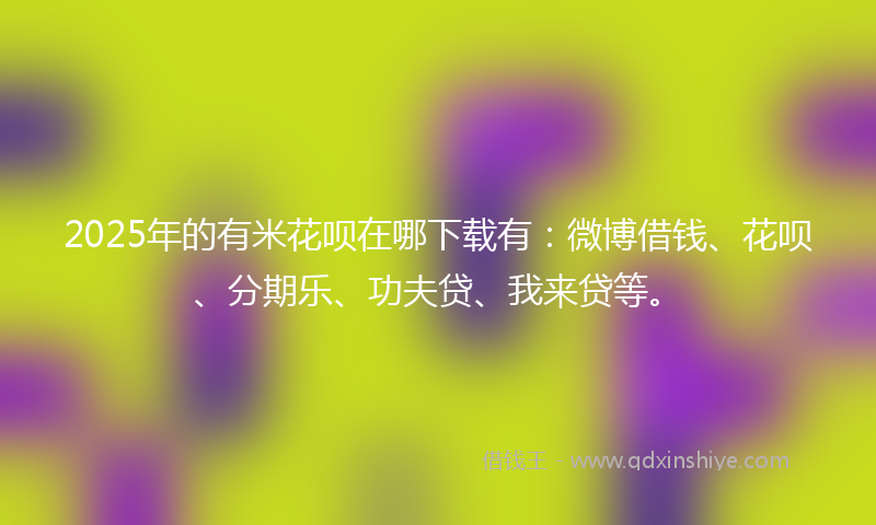 2025年的有米花呗在哪下载有：微博借钱、花呗、分期乐、功夫贷、我来贷等。
