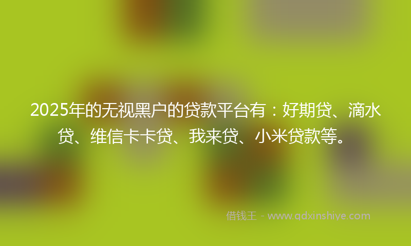 2025年的无视黑户的贷款平台有：好期贷、滴水贷、维信卡卡贷、我来贷、小米贷款等。