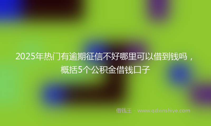 2025年热门有逾期征信不好哪里可以借到钱吗，概括5个公积金借钱口子