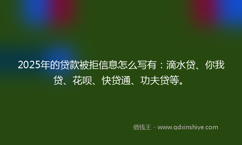 2025年的贷款被拒信息怎么写有：滴水贷、你我贷、花呗、快贷通、功夫贷等。