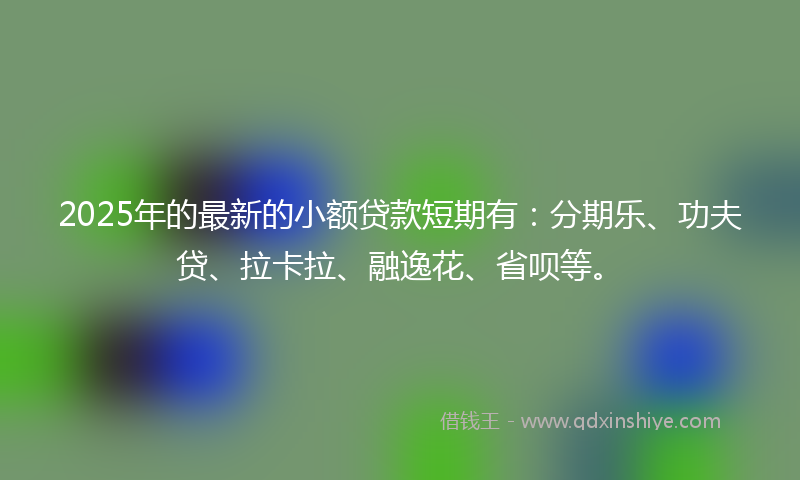 2025年的最新的小额贷款短期有：分期乐、功夫贷、拉卡拉、融逸花、省呗等。