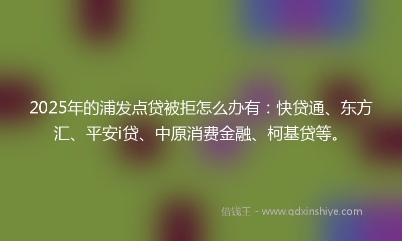 2025年的浦发点贷被拒怎么办有：快贷通、东方汇、平安i贷、中原消费金融、柯基贷等。