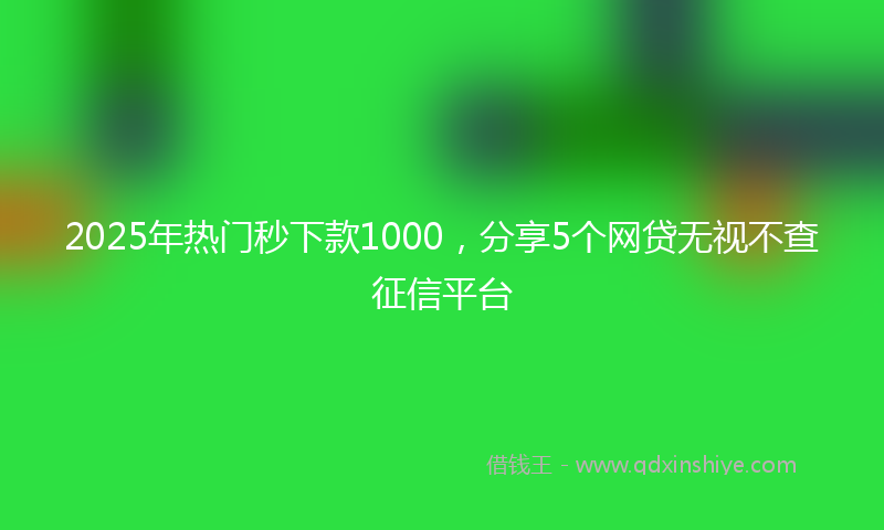 2025年热门秒下款1000，分享5个网贷无视不查征信平台