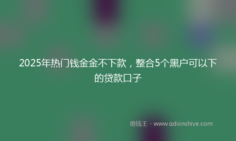 2025年热门钱金金不下款，整合5个黑户可以下的贷款口子