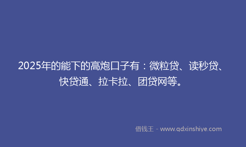2025年的能下的高炮口子有：微粒贷、读秒贷、快贷通、拉卡拉、团贷网等。