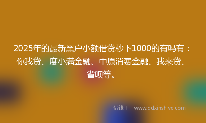 2025年的最新黑户小额借贷秒下1000的有吗有：你我贷、度小满金融、中原消费金融、我来贷、省呗等。