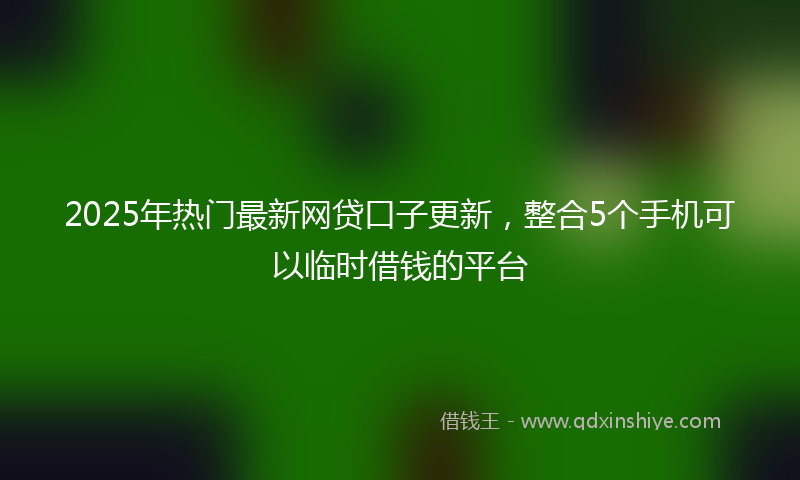 2025年热门最新网贷口子更新，整合5个手机可以临时借钱的平台