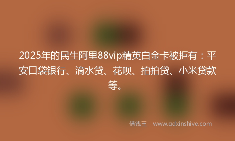 2025年的民生阿里88vip精英白金卡被拒有：平安口袋银行、滴水贷、花呗、拍拍贷、小米贷款等。