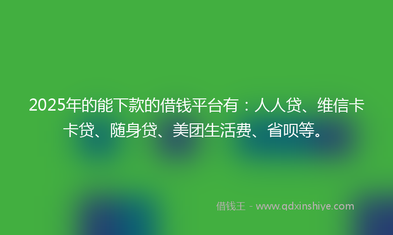 2025年的能下款的借钱平台有：人人贷、维信卡卡贷、随身贷、美团生活费、省呗等。