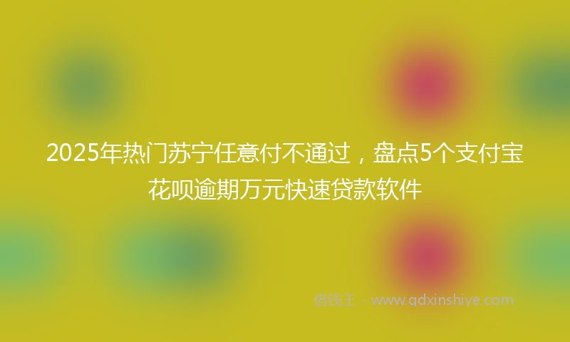 2025年热门苏宁任意付不通过，盘点5个支付宝花呗逾期万元快速贷款软件