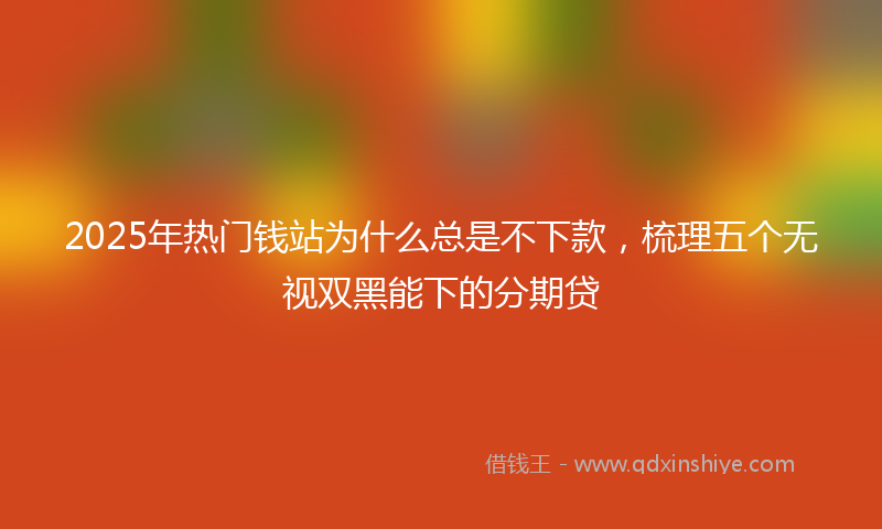 2025年热门钱站为什么总是不下款，梳理五个无视双黑能下的分期贷