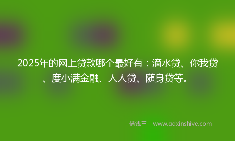 2025年的网上贷款哪个最好有：滴水贷、你我贷、度小满金融、人人贷、随身贷等。