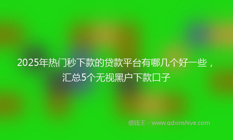 2025年热门秒下款的贷款平台有哪几个好一些，汇总5个无视黑户下款口子