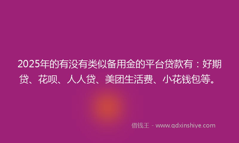 2025年的有没有类似备用金的平台贷款有：好期贷、花呗、人人贷、美团生活费、小花钱包等。