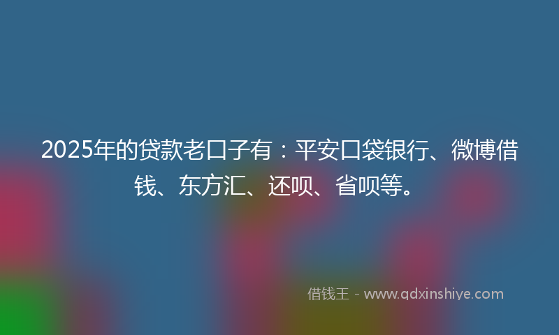 2025年的贷款老口子有：平安口袋银行、微博借钱、东方汇、还呗、省呗等。