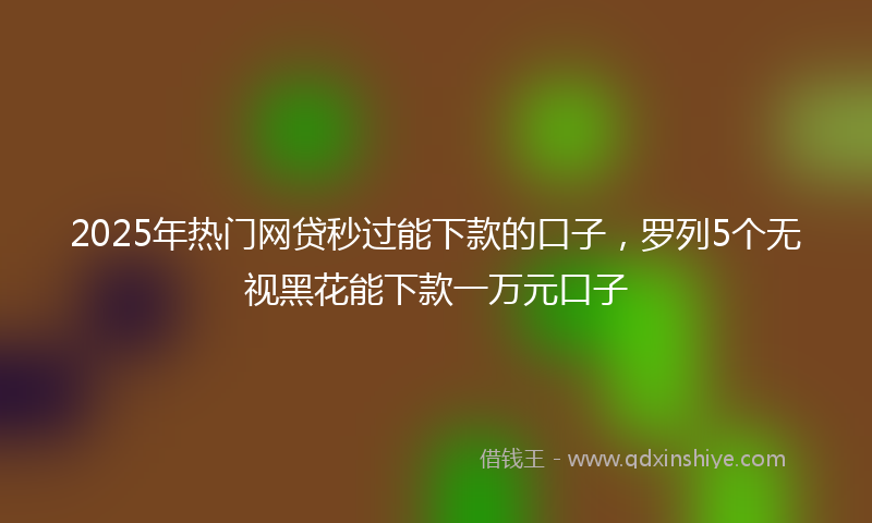 2025年热门网贷秒过能下款的口子，罗列5个无视黑花能下款一万元口子