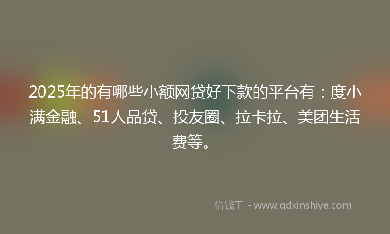 2025年的有哪些小额网贷好下款的平台有：度小满金融、51人品贷、投友圈、拉卡拉、美团生活费等。