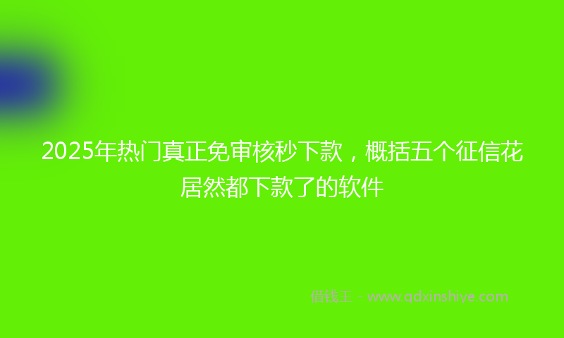 2025年热门真正免审核秒下款，概括五个征信花居然都下款了的软件