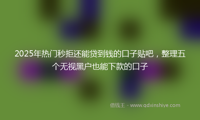 2025年热门秒拒还能贷到钱的口子贴吧，整理五个无视黑户也能下款的口子