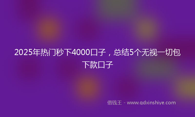2025年热门秒下4000口子，总结5个无视一切包下款口子