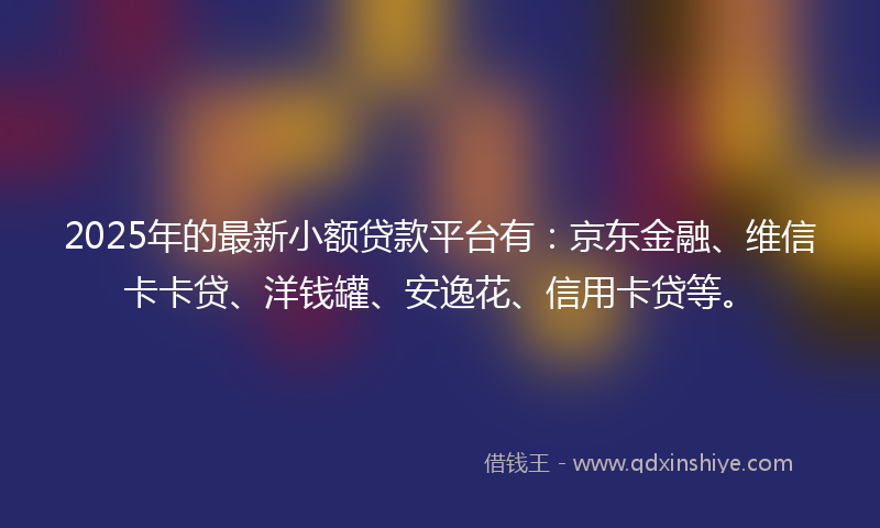 2025年的最新小额贷款平台有：京东金融、维信卡卡贷、洋钱罐、安逸花、信用卡贷等。