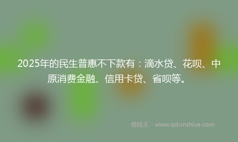 2025年的民生普惠不下款有：滴水贷、花呗、中原消费金融、信用卡贷、省呗等。