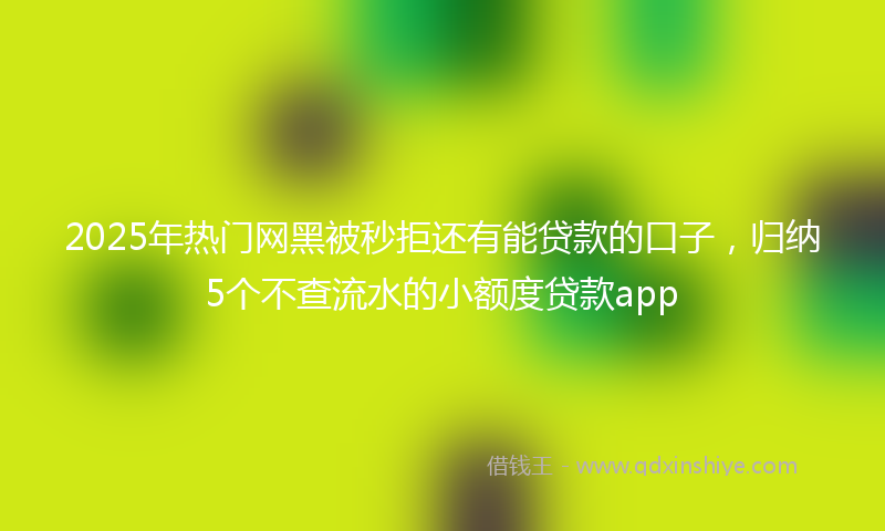 2025年热门网黑被秒拒还有能贷款的口子，归纳5个不查流水的小额度贷款app