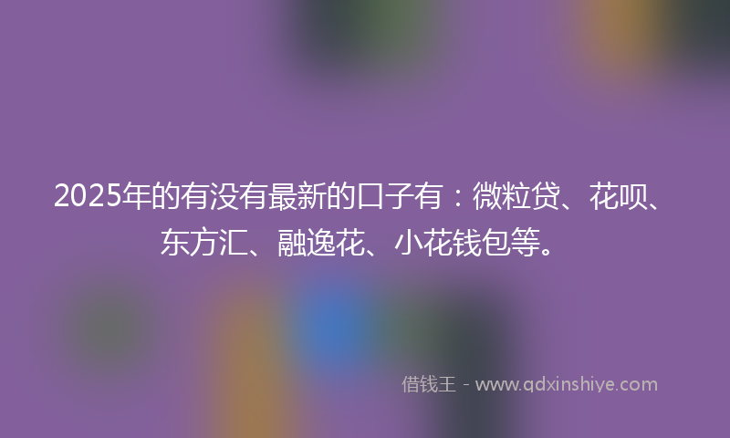 2025年的有没有最新的口子有：微粒贷、花呗、东方汇、融逸花、小花钱包等。