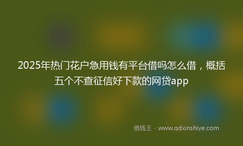2025年热门花户急用钱有平台借吗怎么借，概括五个不查征信好下款的网贷app