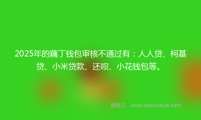 2025年的藕丁钱包审核不通过有：人人贷、柯基贷、小米贷款、还呗、小花钱包等。