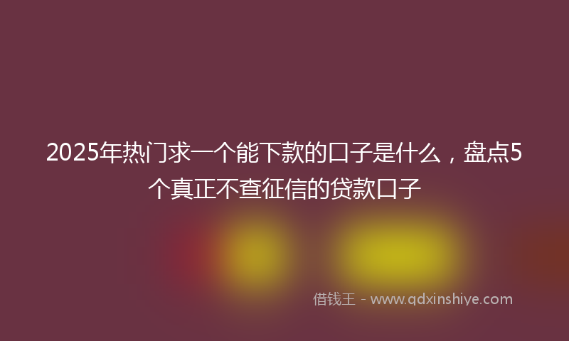 2025年热门求一个能下款的口子是什么，盘点5个真正不查征信的贷款口子