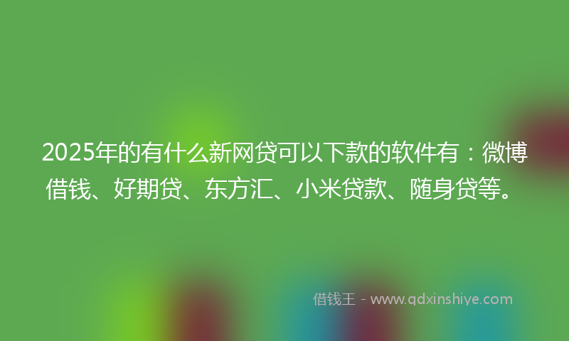 2025年的有什么新网贷可以下款的软件有：微博借钱、好期贷、东方汇、小米贷款、随身贷等。