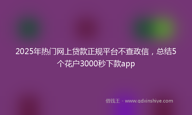 2025年热门网上贷款正规平台不查政信，总结5个花户3000秒下款app